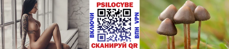 Псилоцибиновые грибы мицелий  ОМГ ОМГ вход  Владивосток 