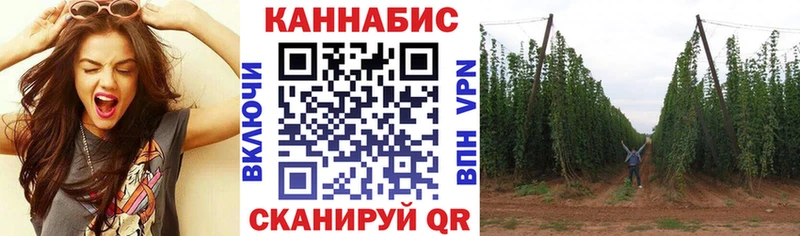 Конопля планчик  MEGA рабочий сайт  Владивосток 